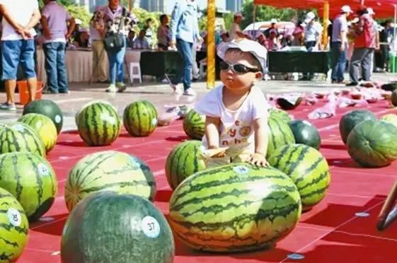 每日大赛吃瓜入口